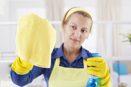 Illustration for deep cleaning in Ilford