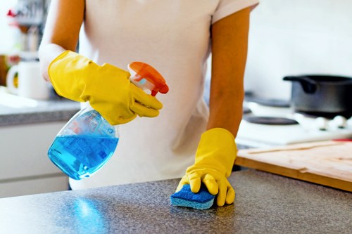 Detailed bathroom deep cleaning in Ilford