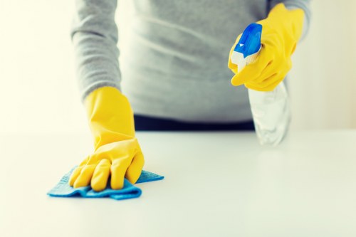 Deep cleaning support for an Ilford property