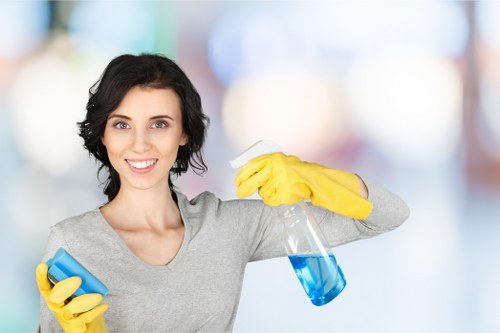 Carpet cleaning process for a home or office in Ilford