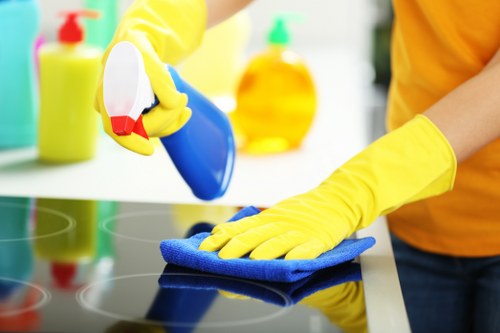 Quotation details for a deep cleaning service