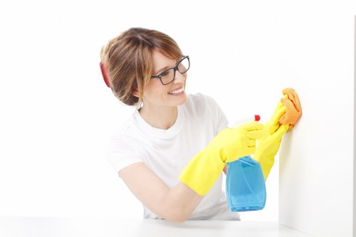 Local cleaner assessing fabric furniture before treatment