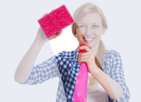 Checklist and cleaning supplies prepared for a home cleaning appointment