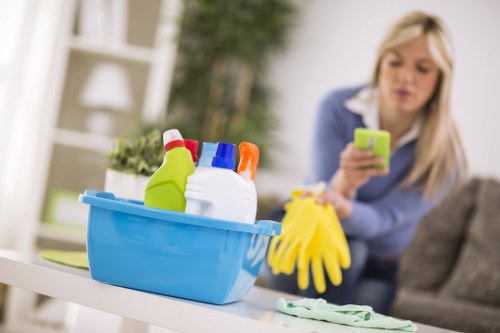Cleaning supplies arranged for a home visit in Ilford